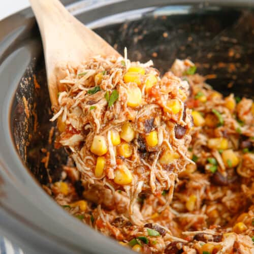 Crockpot Mexican Shredded Chicken Recipe expert