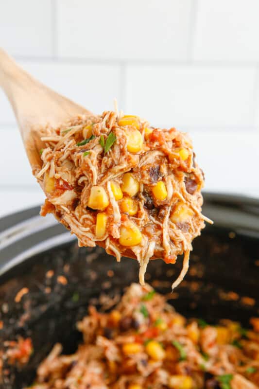 Crockpot Mexican Shredded Chicken - The Cookie Rookie®