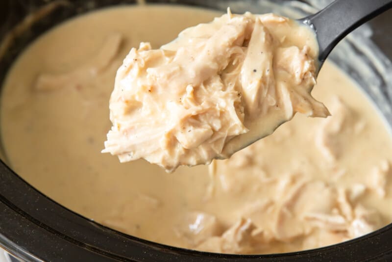 shredded crockpot chicken and gravy on a spoon.