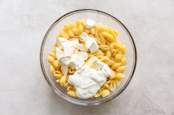 sour cream, cream cheese, butter, and shell pasta noodles in a glass bowl