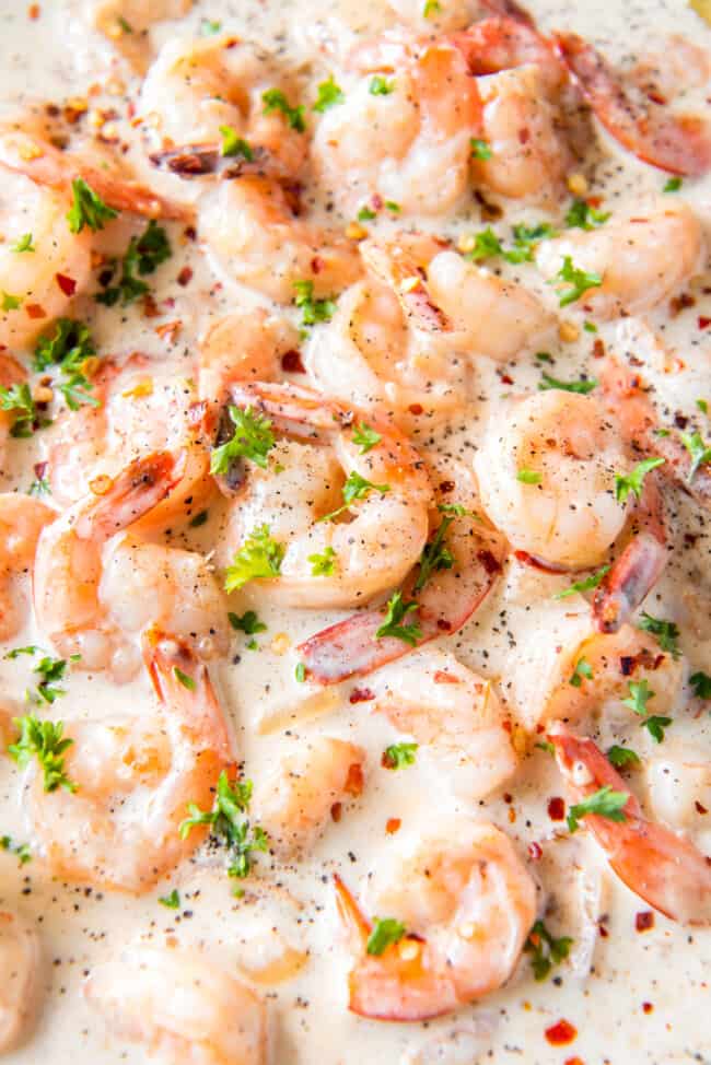 Creamy Parmesan Shrimp Recipe - The Cookie Rookie®