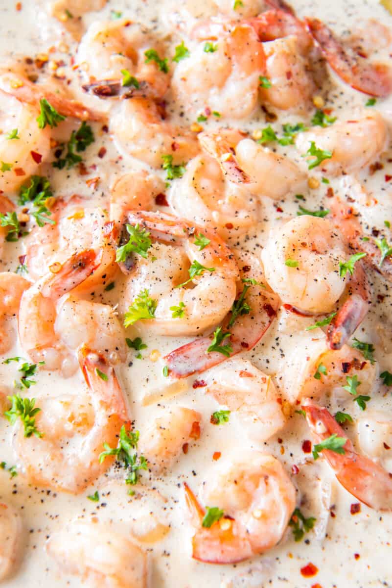 close up of creamy parmesan shrimp.