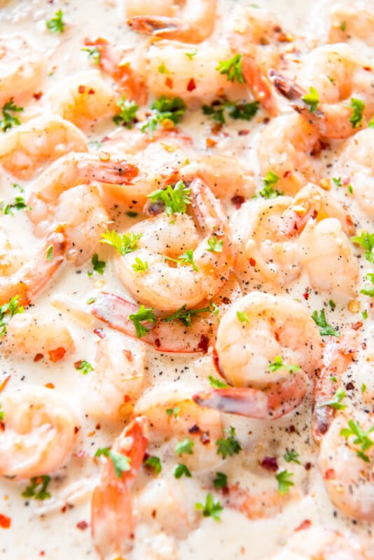 Creamy Parmesan Shrimp Recipe The Cookie Rookie