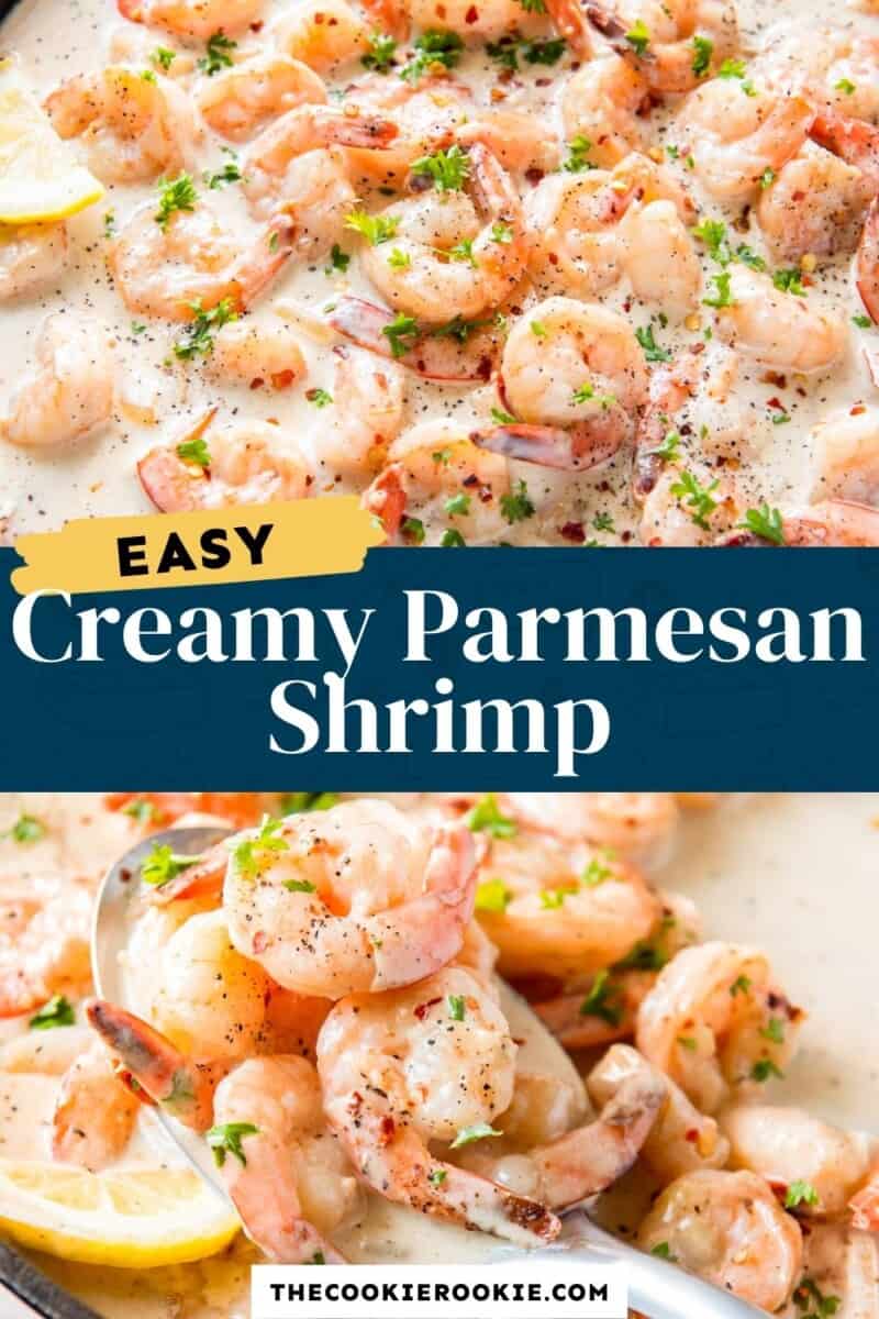creamy parmesan shrimp pinterest.