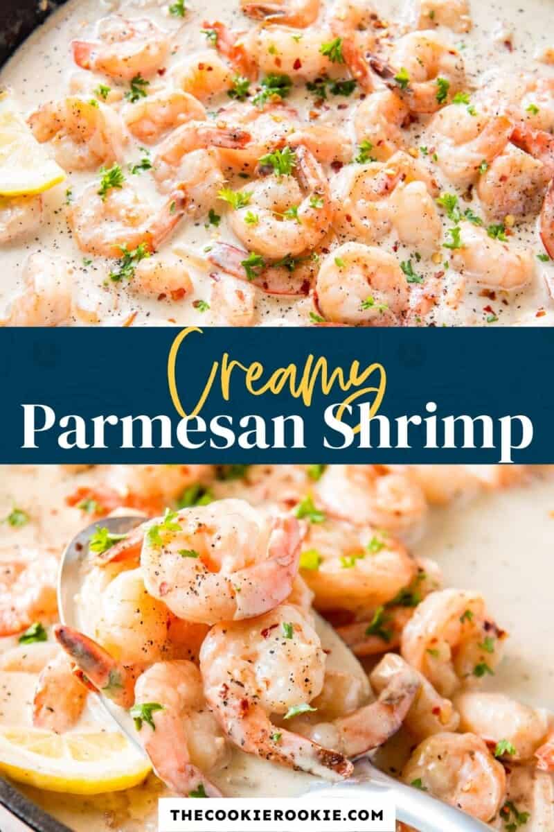 creamy parmesan shrimp pinterest.