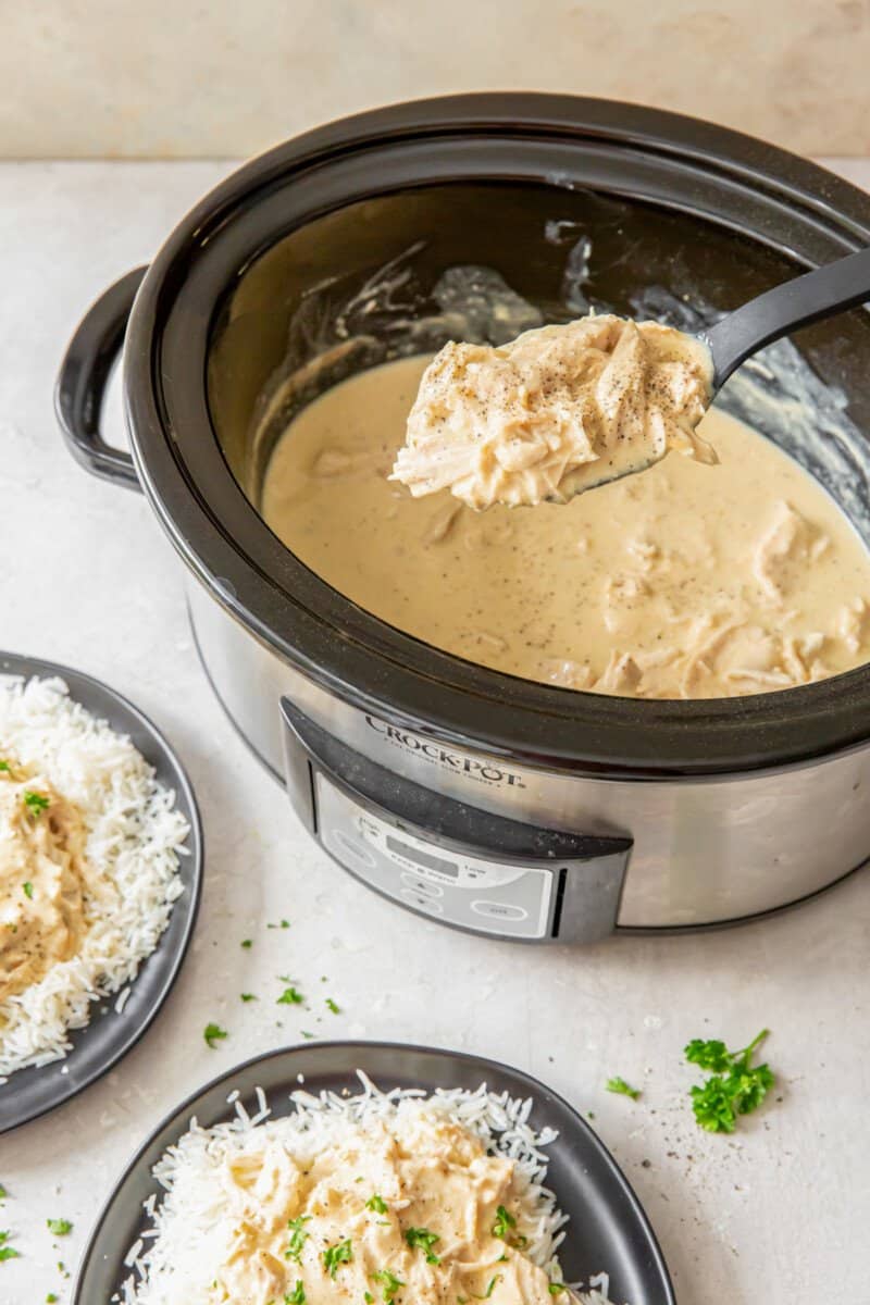 Crockpot Chicken & Gravy - Plain Chicken