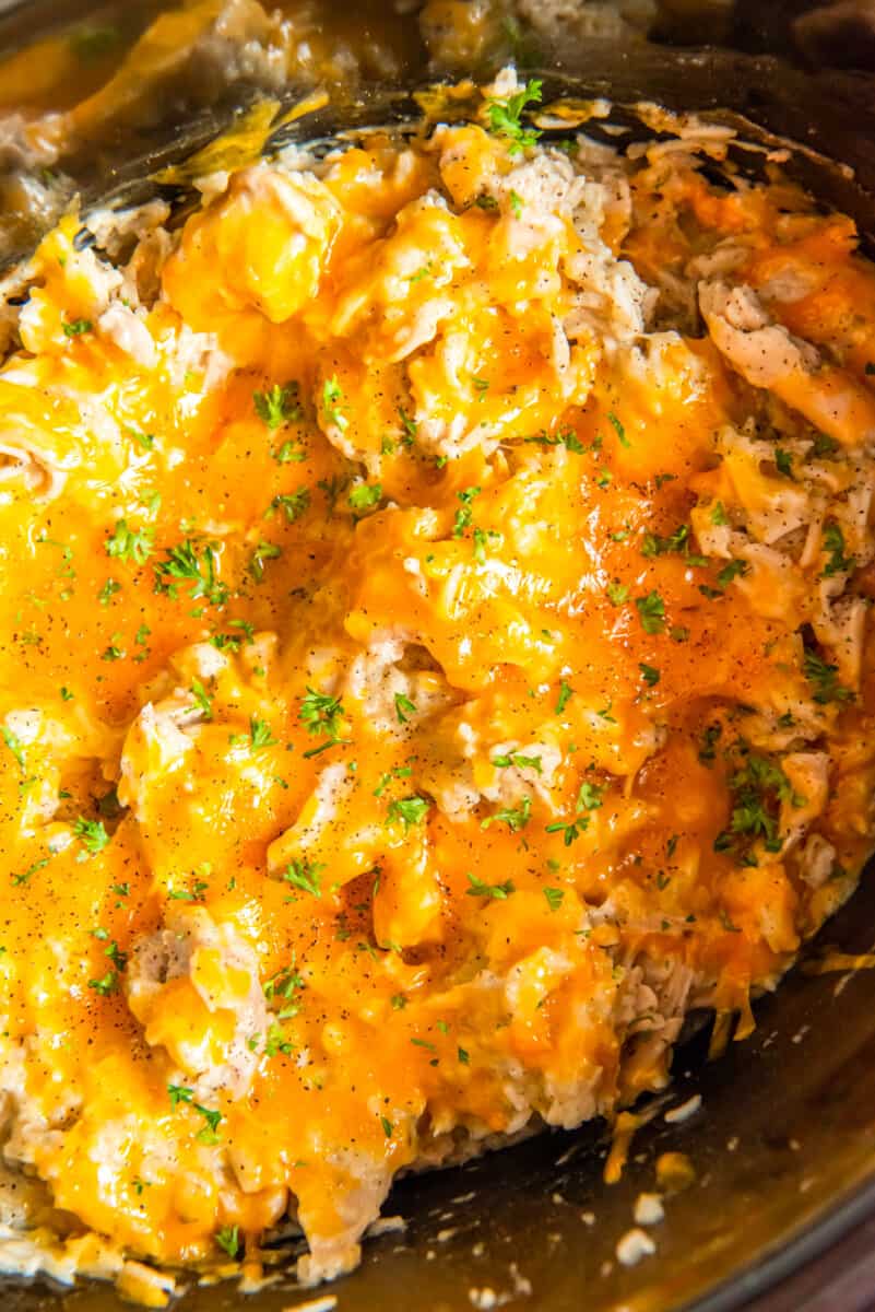 close up view of crockpot chicken and rice.