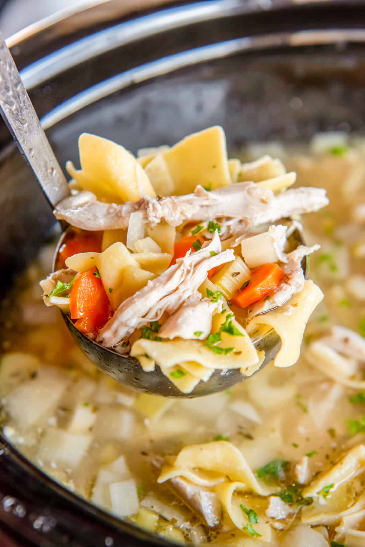 A ladleful of crockpot chicken noodle soup.
