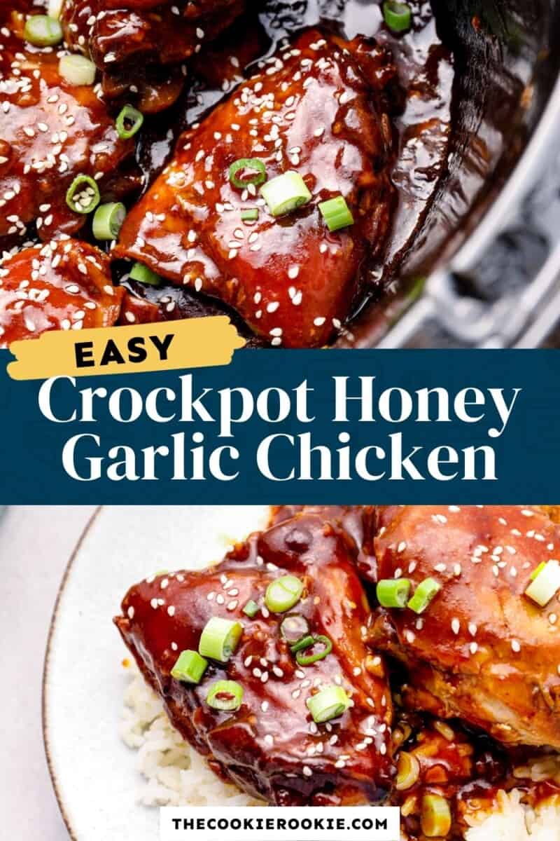 crockpot honey garlic chicken pinterest
