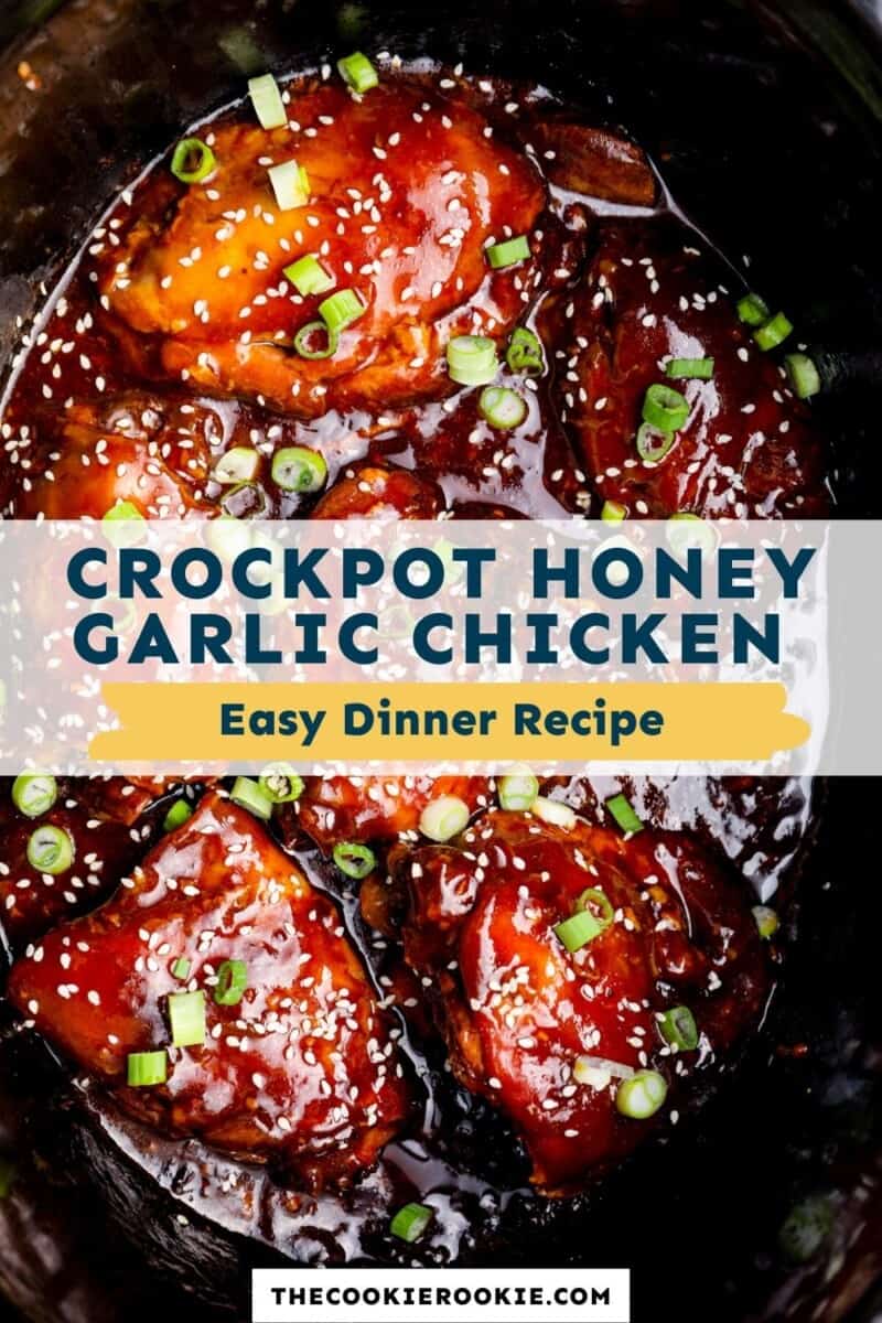 crockpot honey garlic chicken pinterest