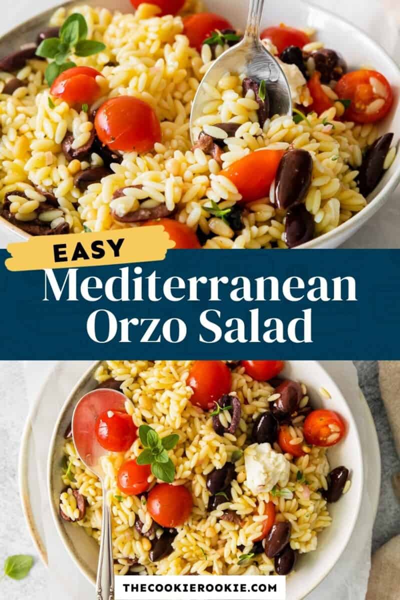 mediterranean orzo salad pinterest.