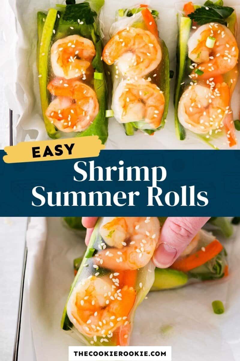 shrimp summer rolls pinterest.