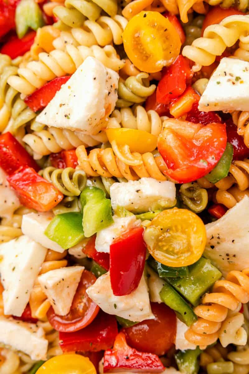 close up view of tricolor pasta salad.