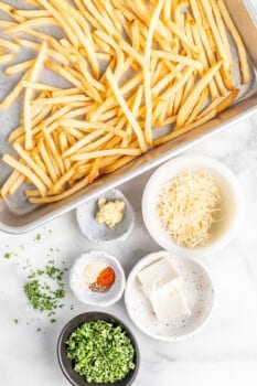overhead view of ingredients for garlic parmesan fries.