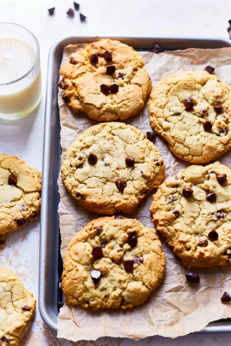 best soft and chewy chocolate chip cookies