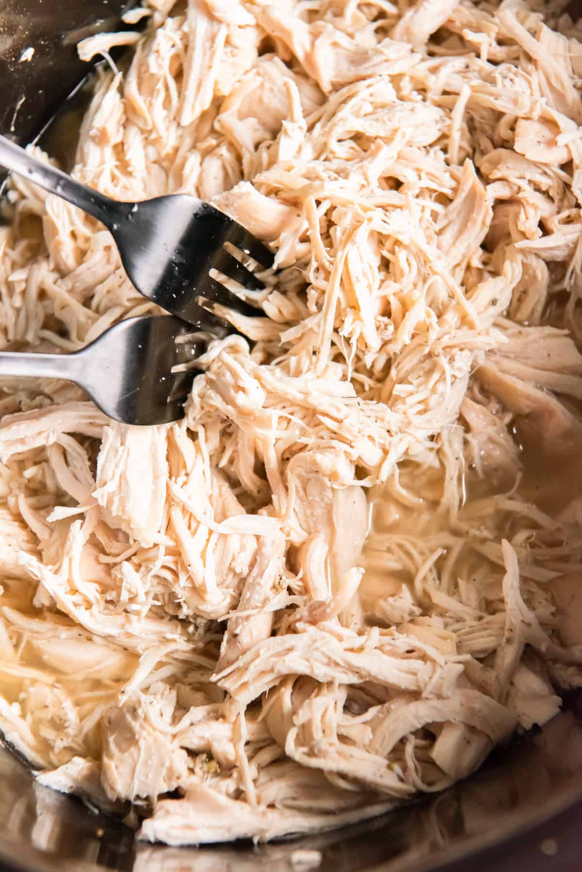 close up of shredded chicken in a crockpot with 2 forks.