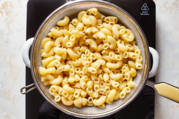 cooked macaroni noodles in a pot