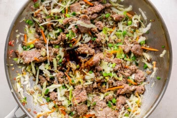 pork in a frying pan with coleslaw mix and green onions.