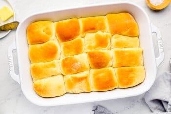 baked parker house rolls in a baking pan.