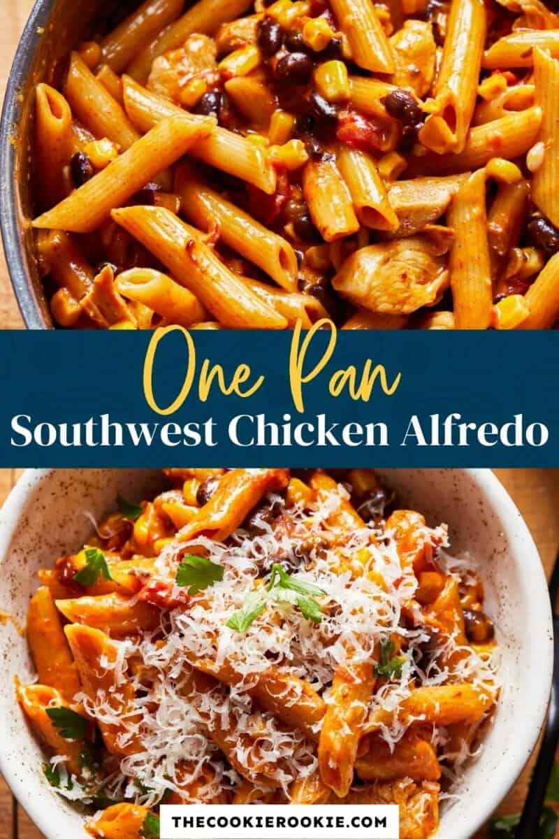 one southwest chicken alfredo pin