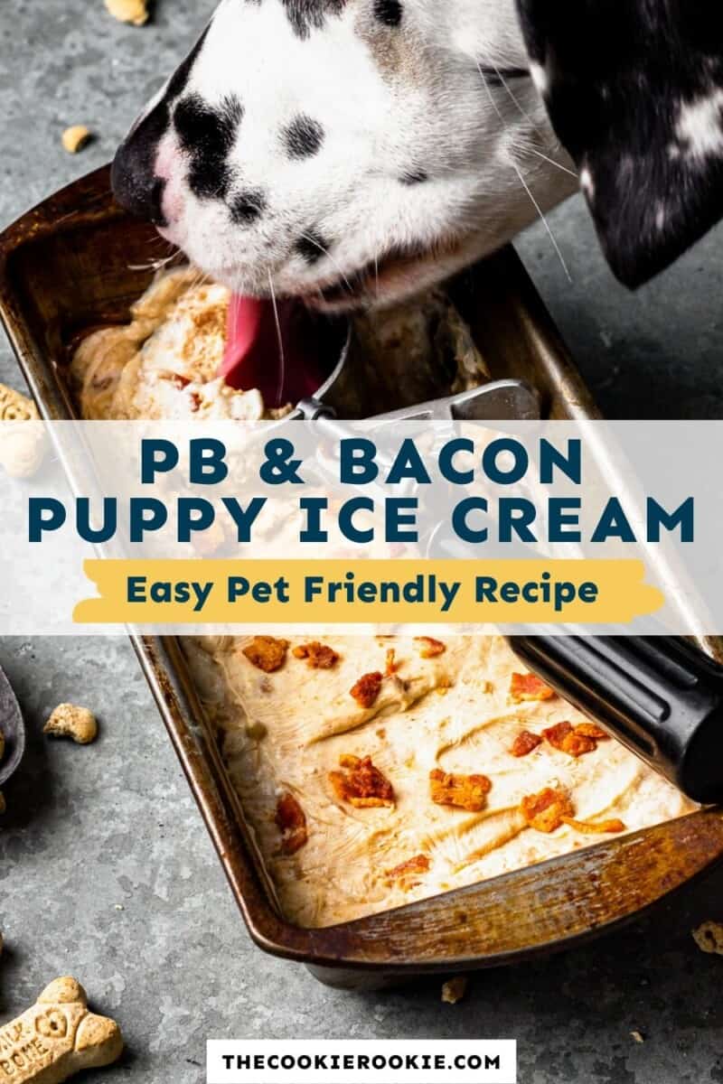 Dog Ice Cream Mix - Healthy Dog Treats- Dog Ice Cream Birthday (Bacon)