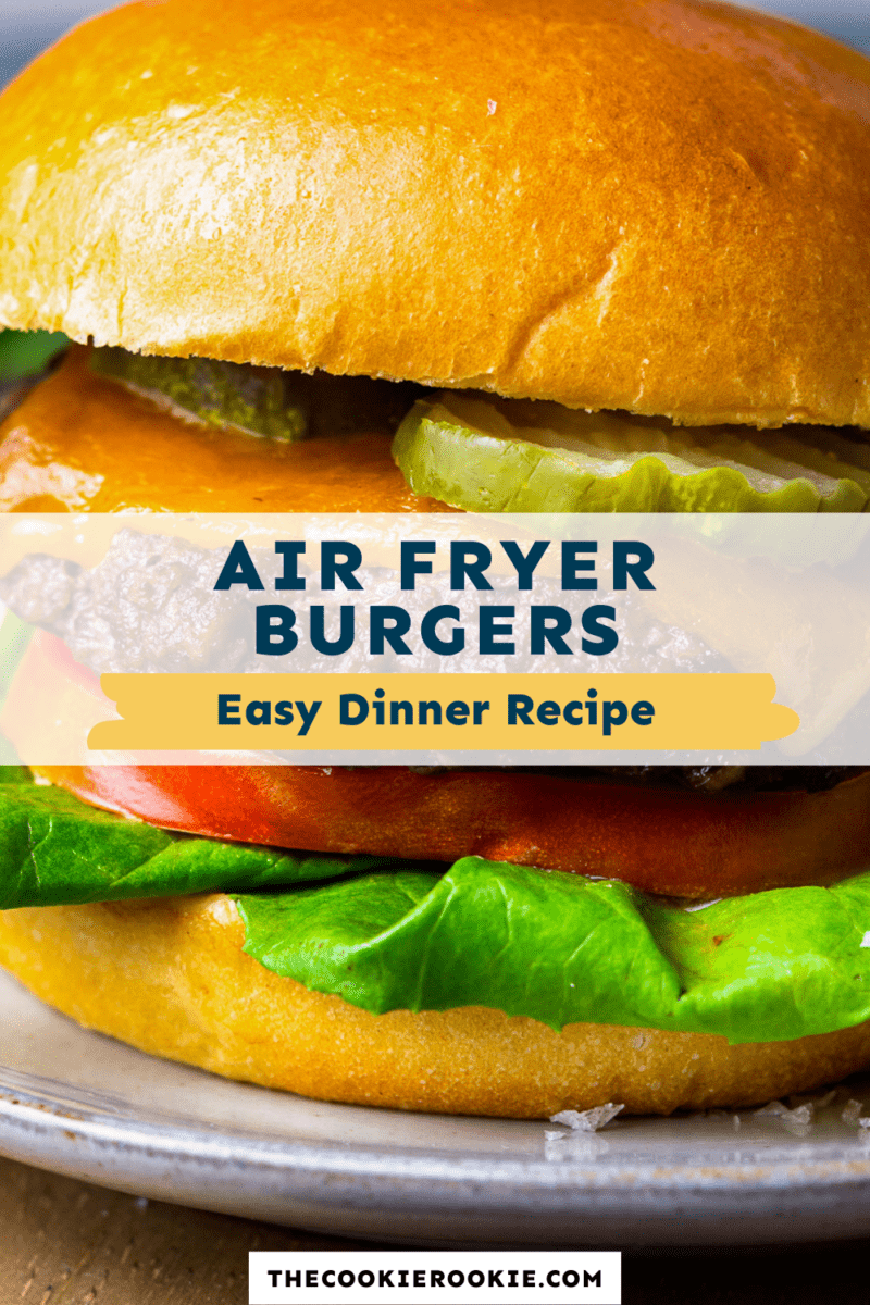 Burgers In Air Fryer - Super Easy Recipe! - Daisies & Pie