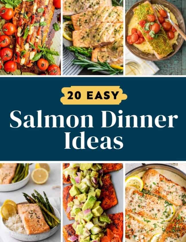 20 easy salmon dinner ideas