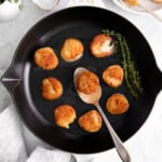 pan seared scallops