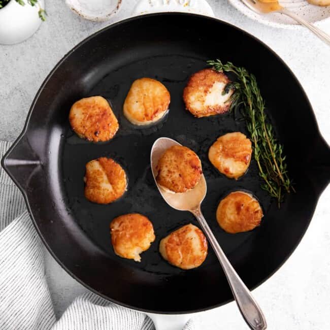 pan seared scallops