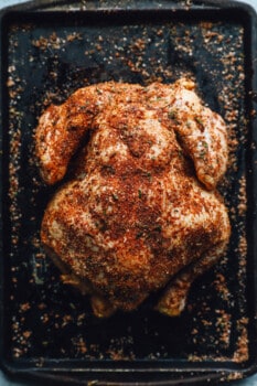a whole chicken, seasoned, on a baking pan