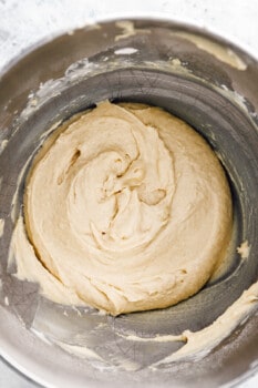 dough in a mixing bowl