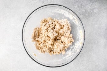 naan dough in a clear mixing bowl