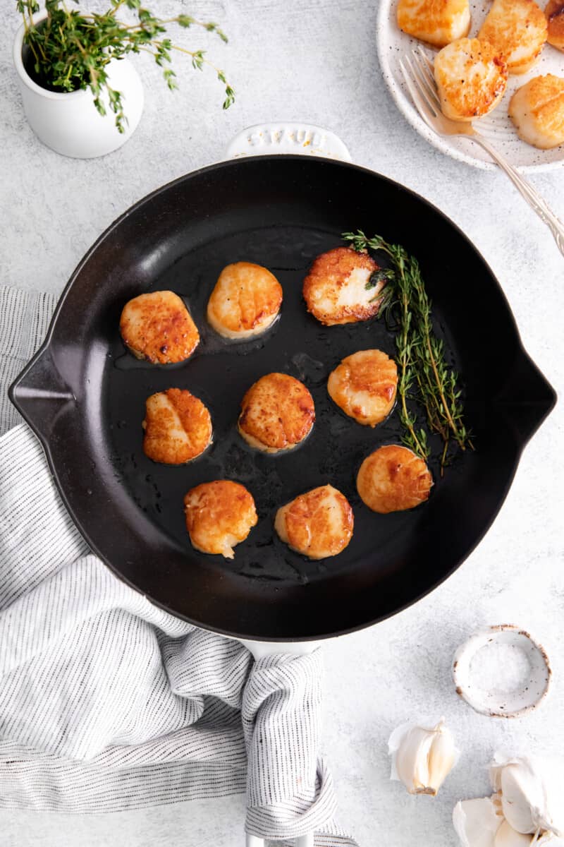 overhead view of scallops seared in a pan