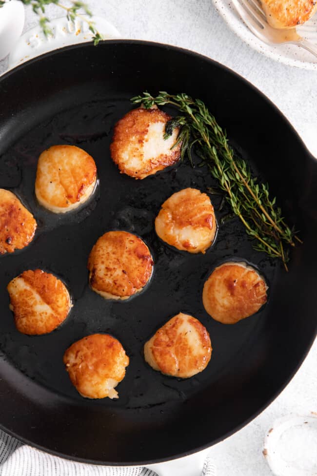 Seared Scallops (How to Sear Scallops) The Cookie Rookie®