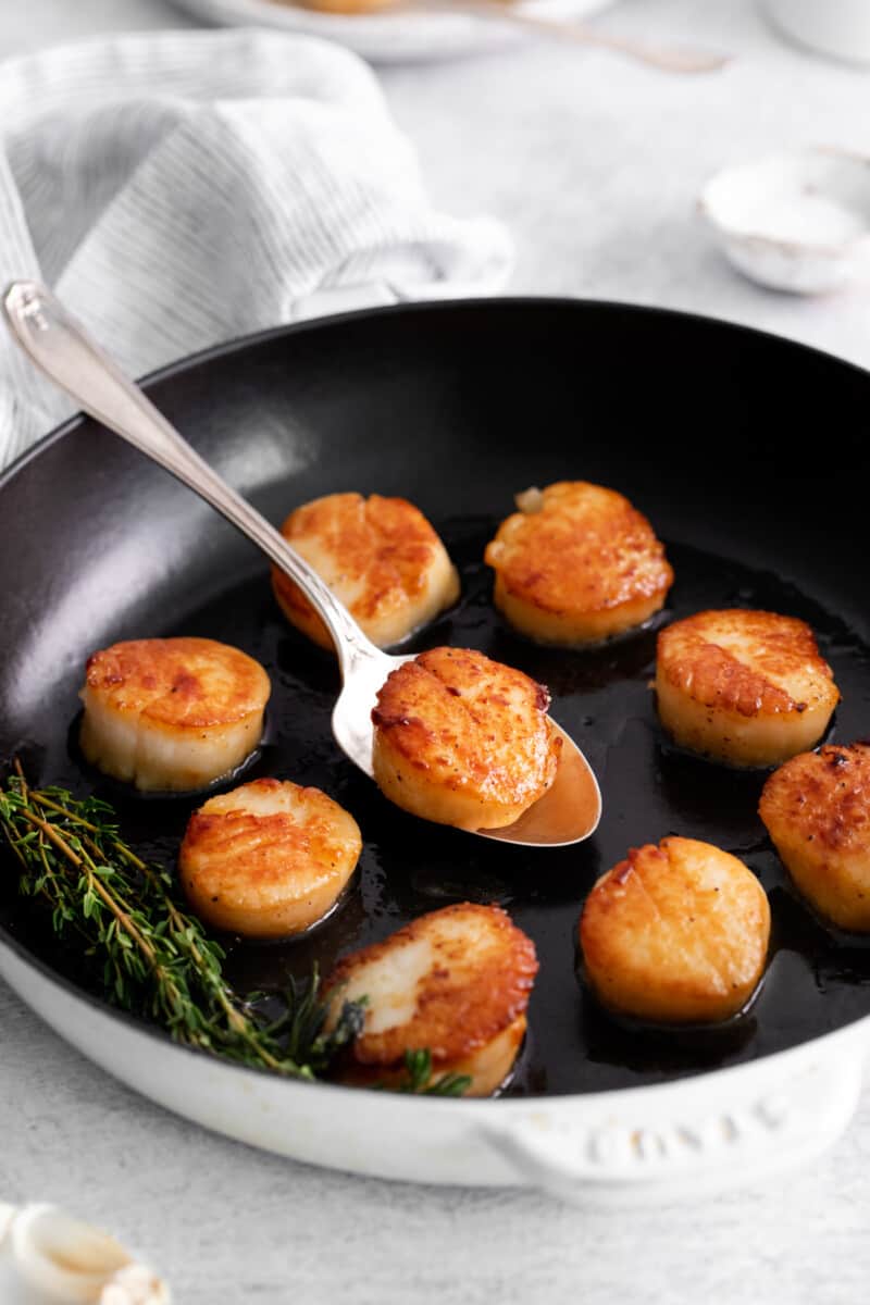 scallops set in a pan
