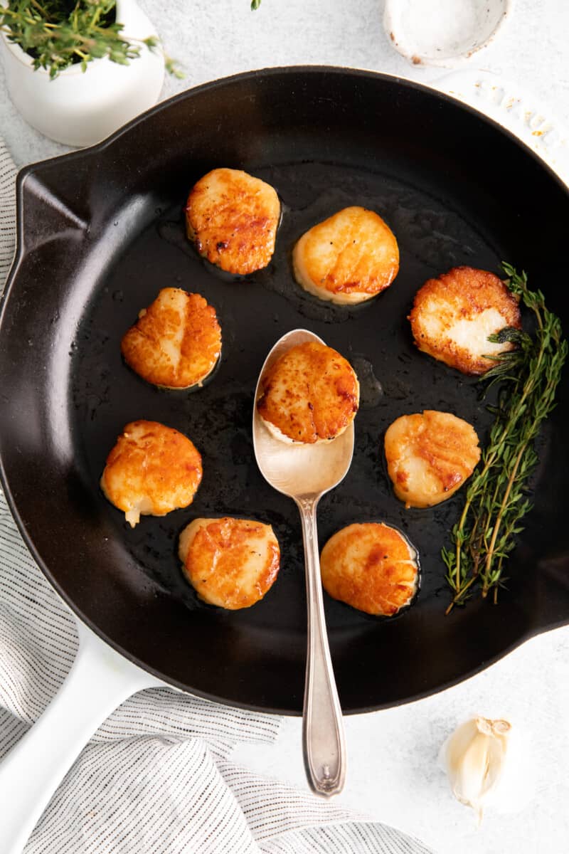 searing scallops in a pan