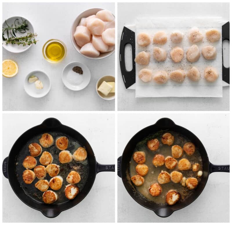 how to sear scallops step by step photos