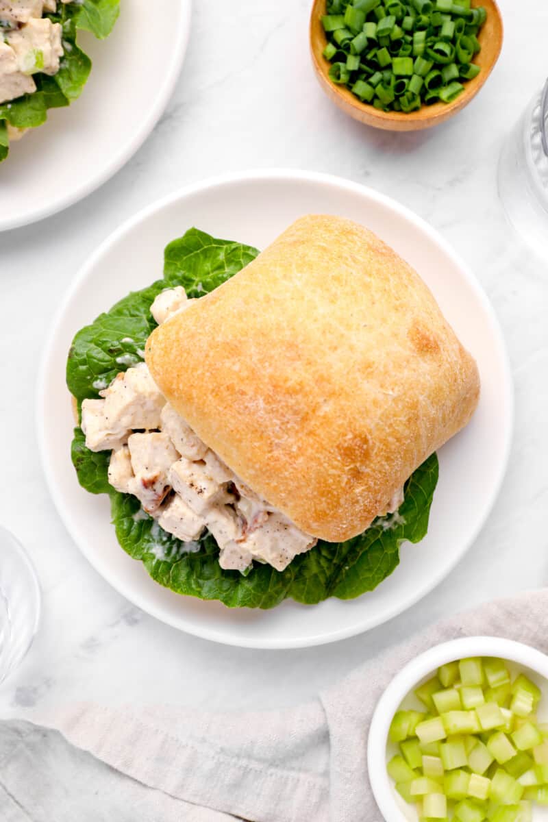 overhead view of a bacon ranch chicken salad sandwich on a white plate.