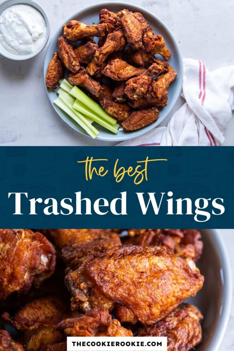 trashed wings pinterest.