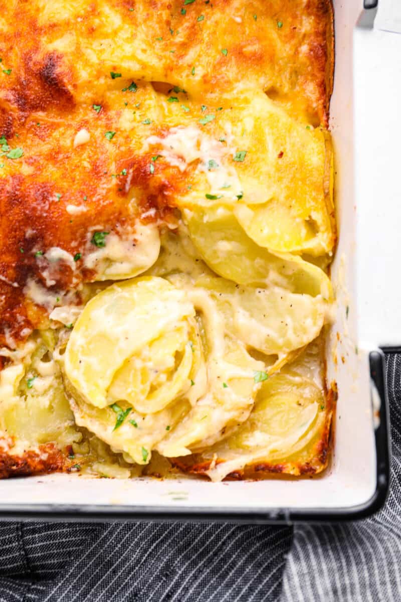 close up of au gratin potatoes in a 9x13 baking pan.
