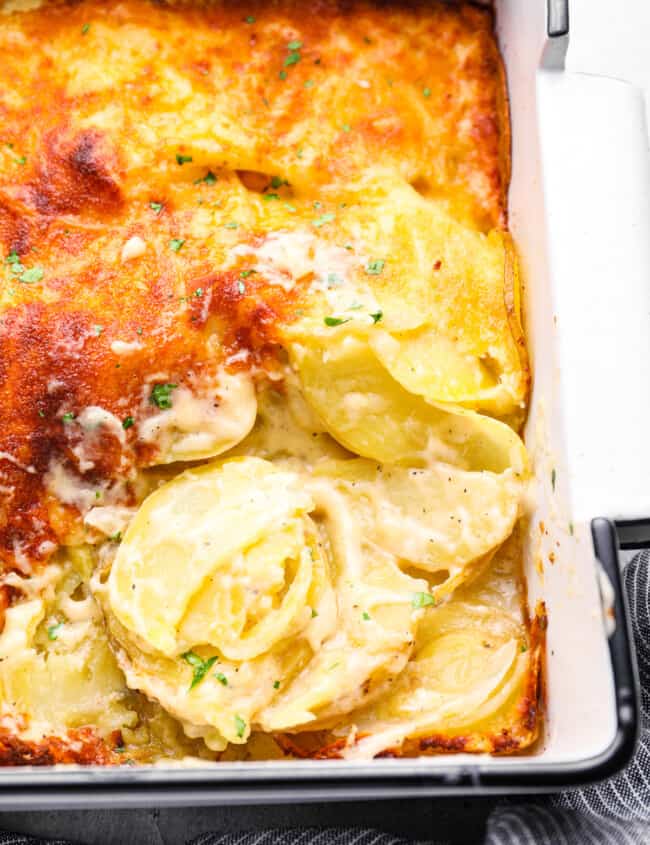close up of au gratin potatoes in a 9x13 baking pan.
