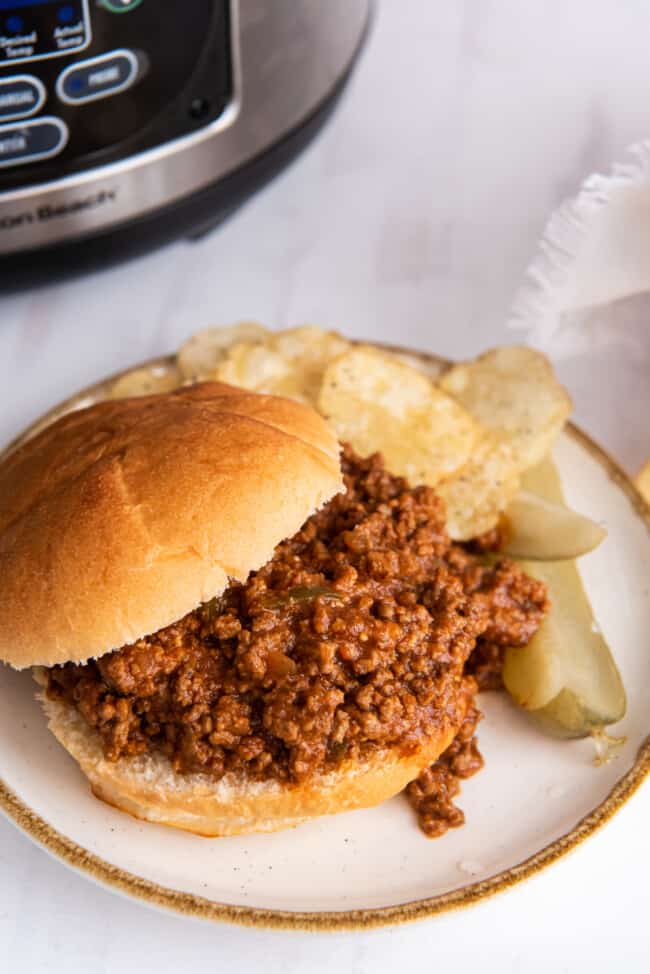 Slow Cooker Sloppy Joes Recipe - The Cookie Rookie®