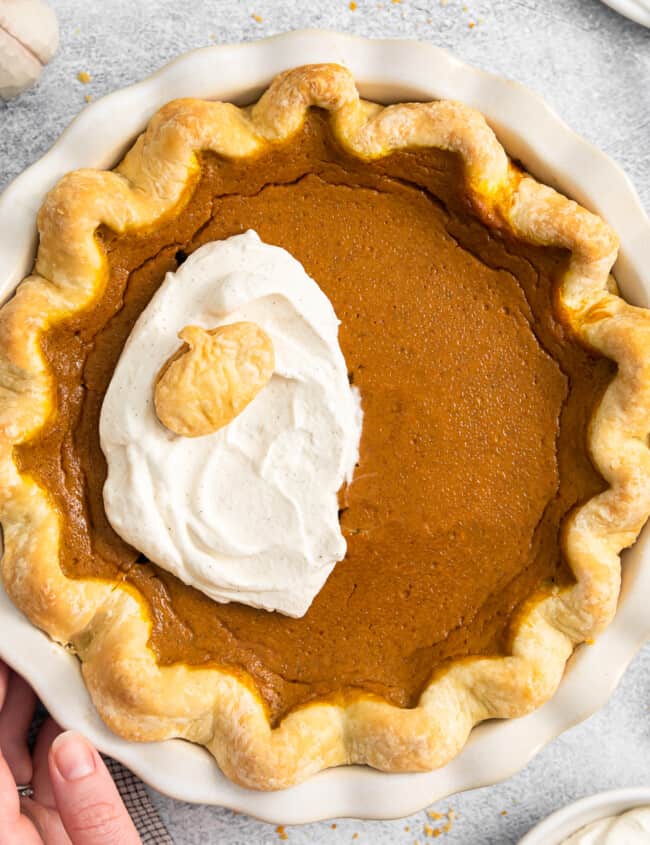 pumpkin pie