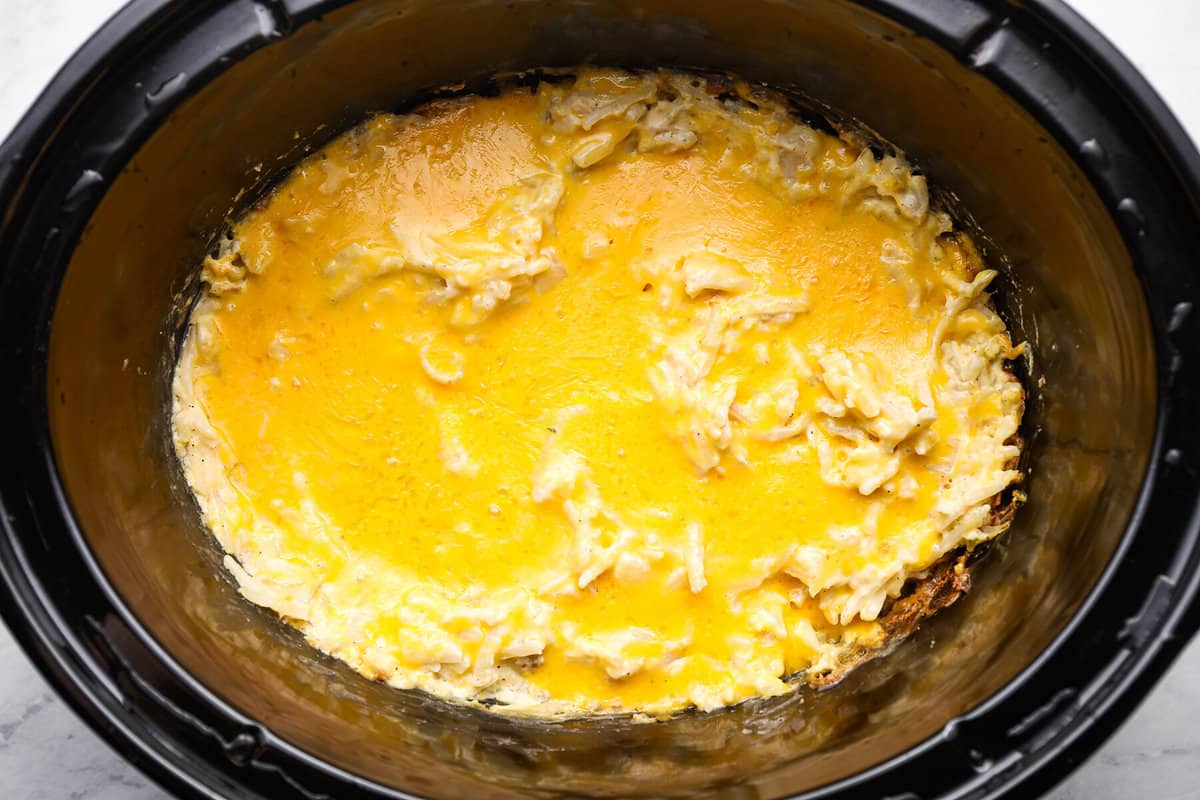 melted cheese on hashbrowns in a crockpot.
