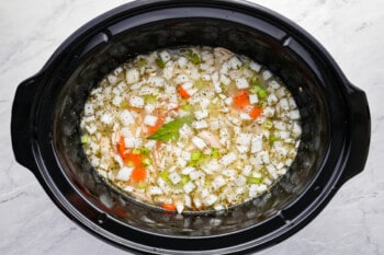 a bowl of chicken soup in a slow cooker.