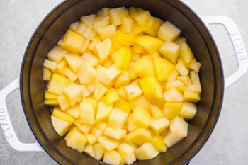 chopped apple pieces in a pot