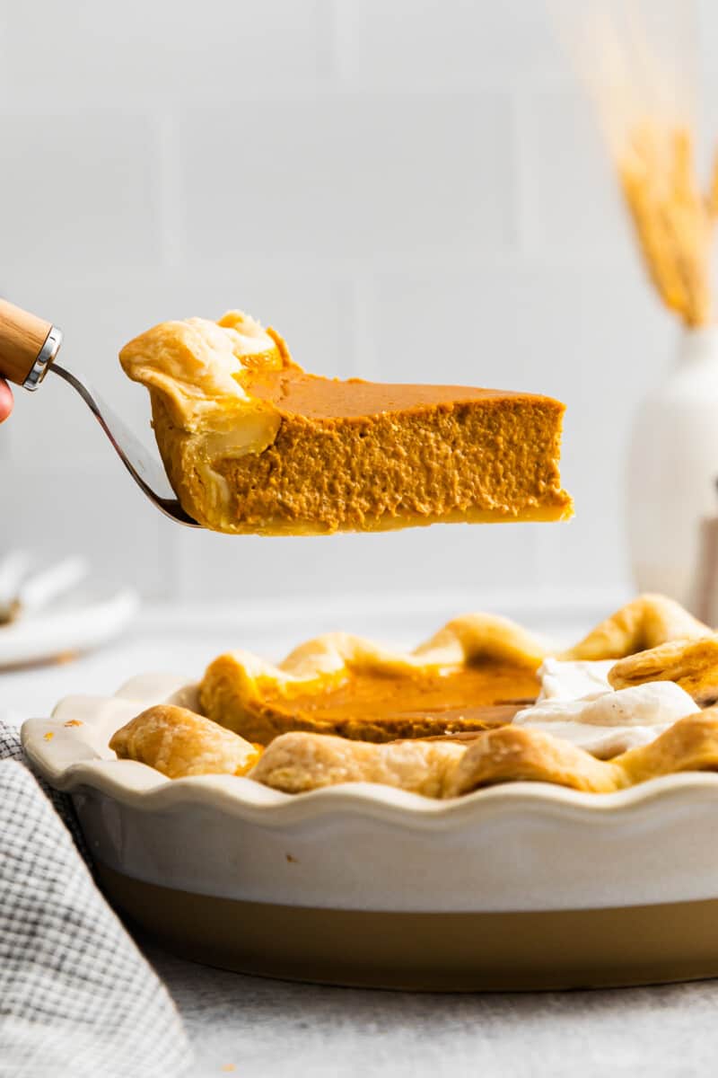 holding a slice of pie above the pie dish