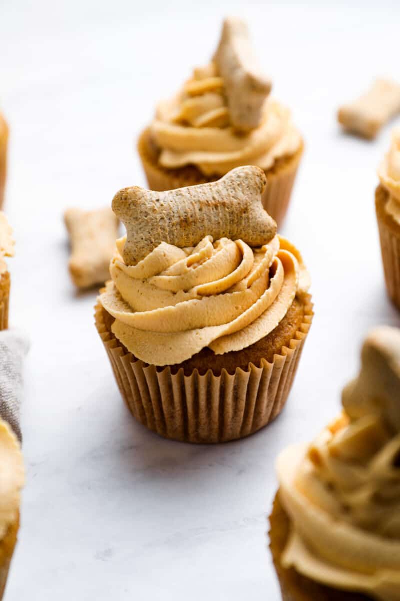 Dog Cupcakes Recipe The Cookie Rookie dog-cupcakes-recipe-the-cookie-rookie