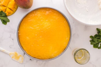 mango jam spread over mango cheesecake filling in a springform pan.