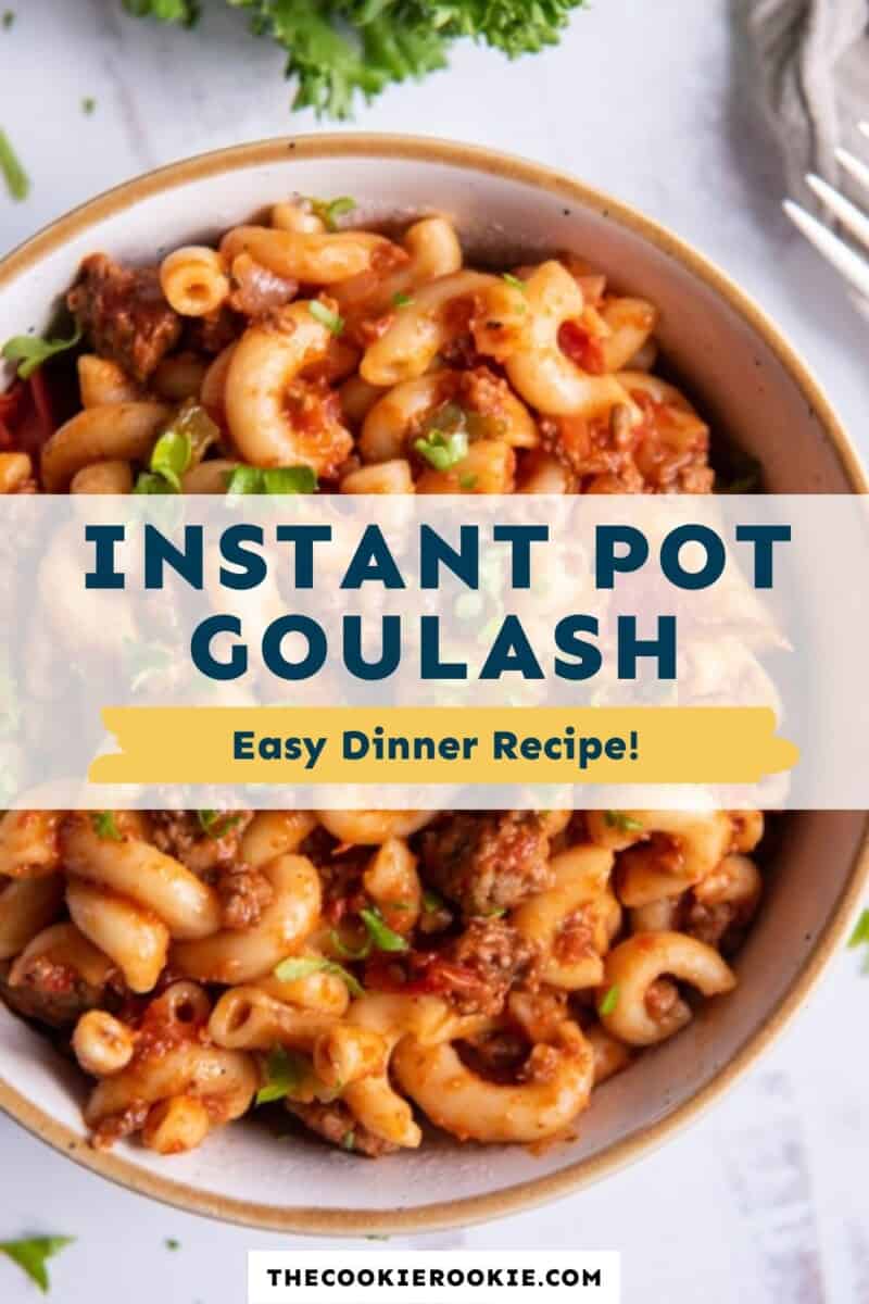instant pot goulash pinterest